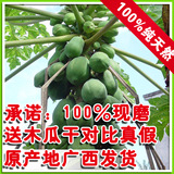 taobao english 13632685005