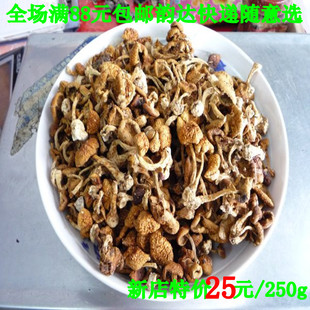  散装滑子菇黑龙江南北干货香菇类食用菌类250g