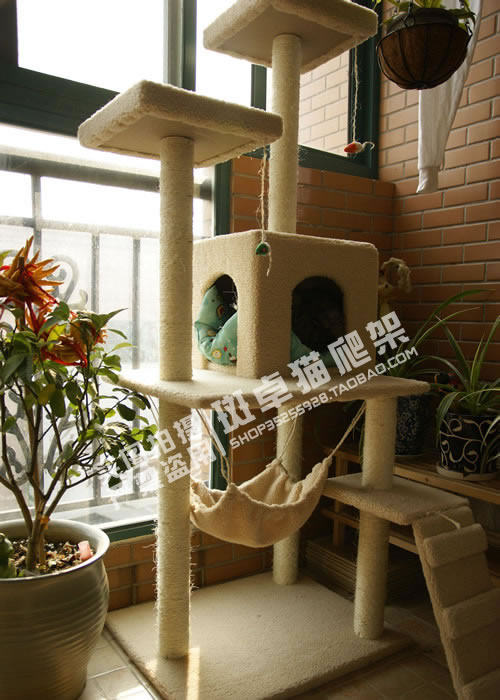 特价 江浙沪皖包邮 斑卓猫架 猫窝玩具 猫爬架 猫抓板 猫树 26023