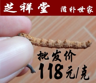  【芝祥堂】冬虫夏草西藏那曲正品野生批发/送礼佳品盒/5克起售