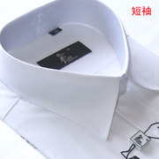 白色短袖衬衫法国啄木鸟，短袖衬衫男商务，正装棉质免烫簿款衬衣