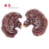taobao english 7776160227