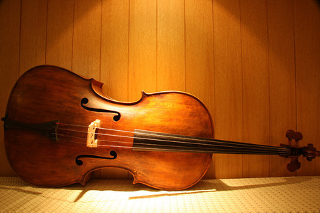 德国 旧大提琴,仿Raiaele Ronyhini-1851