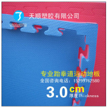 软密度退货！跆拳道垫 跆拳道垫子  跆拳道地垫  道馆专用！