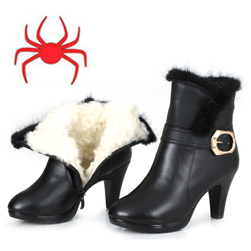 【多图】蜘蛛王女棉 - 蜘蛛王女棉品牌|价格|评