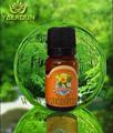 雅而顿 最神奇的美腿纤腿瘦腿 化脂精油10ml 千人验证