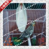 taobao english 8807291949
