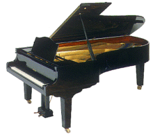 Piano Masters���ٴ�ʦ��ϡ��ʷ¼��ϵ��,40ר��-2DVD,ape flac