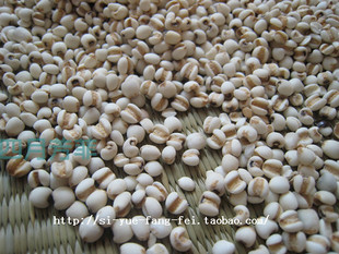  福建浦城小薏米薏仁米 500克 {国家唯一地理标志薏米仁}药用首选