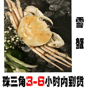  冰鲜海鲜雪蟹 鳕蟹 冰岛螃蟹  皮匠蟹 皇后蟹 广东6小时到货水产