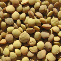 农家小豌豆-重庆小面豌豆糕原料500克农家自产有机小扁豆 兵豆 滨豆 优质小扁豆 小豌豆 清价格比较,麦尔网购导航,网购宝搜你实惠