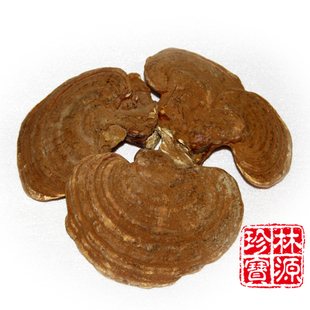  林源珍宝 长白山半野生灵芝 无柄灵芝带孢子粉 26元250克