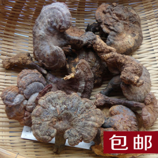  包邮 哀牢山野生紫灵芝 野生灵芝 特级紫灵芝（100克）假一赔十