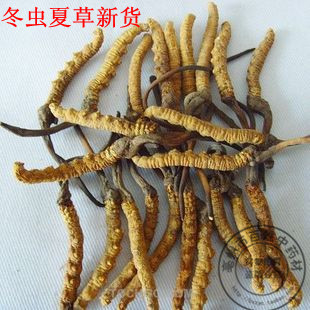  中药材天然 养生精品，正宗西藏特级精选冬虫夏草1g起售