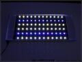 120CM LPS缸 72珠3W 36白36蓝LED灯具 照明灯 LED海水灯 草缸灯