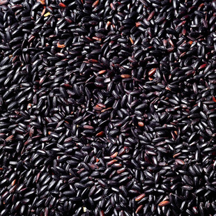  黑米有机500g东北特产 五常大米稻花香黑米有机杂粮 纯天然无染色