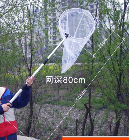 加长杆昆虫网 优质铝合金伸缩杆捕虫网 捉虫网 幼儿园小学生器材在类目 商业/办公家具, 校园教学家具, 实验台中 - 来自Buy2taobao.com提供专业的淘宝代购服务