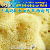 【五折包邮】*3.5-4.0英寸8.75~9厘米*希腊地中海天然丝海绵*洗脸