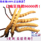 taobao english 8814063429