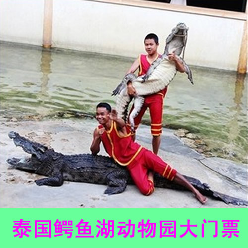 North Lam, Thailand Crocodile Lake Zoo admission ticket CrocodileFarm Thailand Tourist Attractions admission ticket Visitin the Attraction tickets/Live performance/Theme Parks , Overseas attraction tickets category - from Buy2taobao.com to provide professional Taobao agent buy service