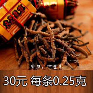  冬虫夏草 西藏那曲 特级 精选 4条每克 可单条出售 无理由退货