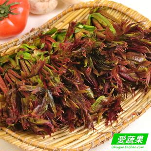  【爱蔬果】绿色食品新鲜蔬菜 香椿 山椿 半斤/份 北京配送