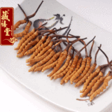 taobao english 10679354523