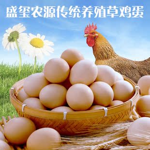  上海12.10 正宗草鸡蛋36个 安全传统养殖 营养丰富 宝宝最佳辅食