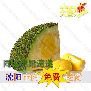  泰国菠萝蜜新鲜水果同城包邮抗炎消肿益乳/9.8元/斤 整只称重出售