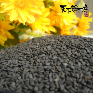  黑芝麻新货 生 饱满油足补肾乌发养生杂粮