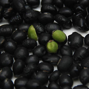  特价500克 绿芯黑豆 非黄芯 农家有机黑豆  五谷粗粮杂粮