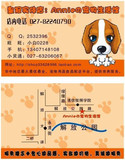taobao english 2549559788