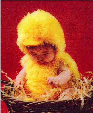 出租 儿童摄影服装满月百天宝宝照相黄小鸭造