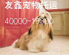 昆明--西安宠物托运 空运狗狗 火车运输猫猫