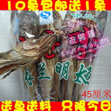 10条包邮延边特产真味鱼 北朝鲜依兰明太鱼干大棒鱼肉干44~46厘米