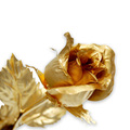 大号-含苞 24K纯金箔金玫瑰花 千足金 送朋友生日礼物 母亲节礼品