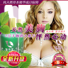 新一代中药配方 魅姿堂顶级植物丰胸精油 2号丰乳产品热卖排行