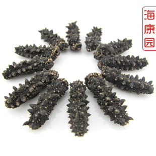 【海康园】纯野生小海参 淡干海参 大连刺参 2.0-2.5cm 2.98元/只