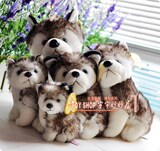 特价批发AURORA正版仿真哈士奇雪橇犬毛绒玩具 纯种 蓝眼一套五款