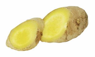  中国有机绿色食品专营 天地生 有机生姜500g 北京满百包邮