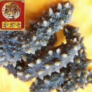  大连海参野生淡干海参/辽刺参12元/只3.8-4厘米满30只包中通