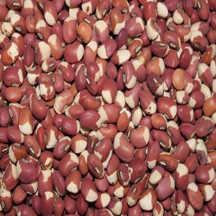 农家种植花豇豆 健脾 补肾 降血脂 绿色天然50