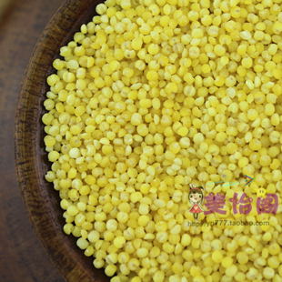  云南优质小米 小黄米 黄小米 五谷杂粮 营养补品500克