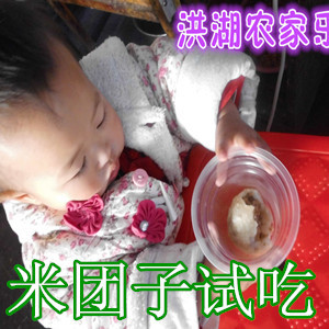 洪湖特产日本米团子特色小吃大米农家美食团美食湖北v特产网图片