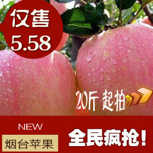   烟台苹果红富士栖霞苹果正宗新鲜苹果 现摘现发20斤七省包邮