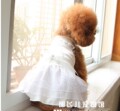 宠物衣服 UPET三色狗狗玫瑰花礼服 宠物婚纱 特价