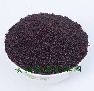  天然紫米/神奇的滋补精品750克