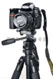 taobao english 4159686454