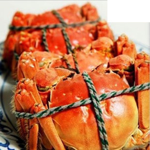  正宗阳澄湖大闸蟹直销 公蟹4.4-4.6两4只 母蟹3.2-3.3两4只