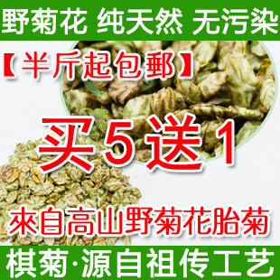特级野菊花 胎菊王/花草茶/菊花茶/胜桐乡杭白菊黄山贡菊 野菊米